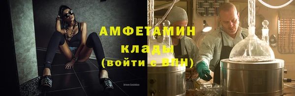 мет Алексин